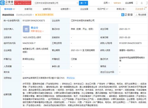 無標題業務下的隱憂 審視第二類增值電信許可的申請與監管